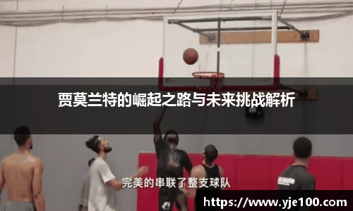 南宫NG28