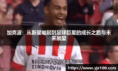 南宫28NG相信品牌力量
