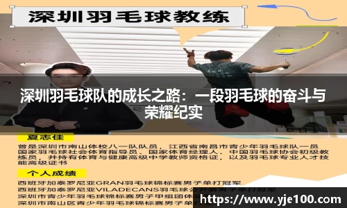 南宫NG28